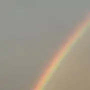 ちゃみー 即購入⭕️値下げ交渉お気軽にの画像