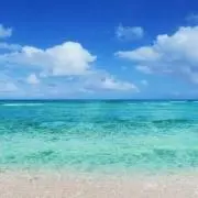 PONの画像