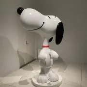 ちゃむの画像