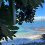 のりんの画像
