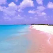 ジュナ坊の画像