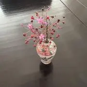 ハゼラン　プロフィール確認お願いします。の画像