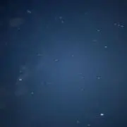 莉の画像