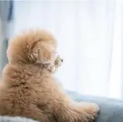 hiiiの画像