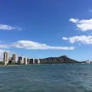 めぐの画像