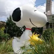 nico☆プロフお読みください