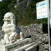 Xiaoの画像