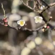 Jeffy914の画像