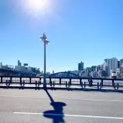 やしの画像