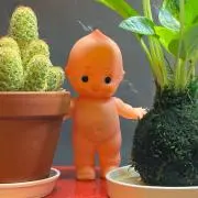 ちょっとね♪の画像