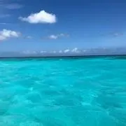 てつの画像