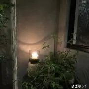 傘