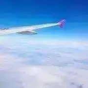 ぽむの画像