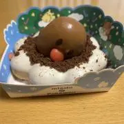 サニーゴ❗の画像