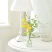 なすの画像