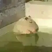 AIの画像