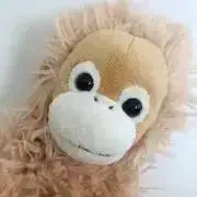 モモンガの画像
