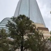 ムントの画像