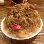 Shin