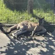 まさちんの画像