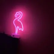 ももの画像