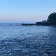 Masahiko Watanabeの画像