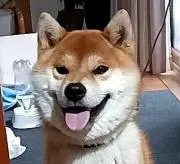 まっちゃんの画像