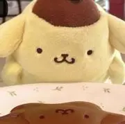 ポムポムプリン