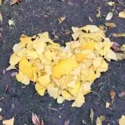 かわせみの画像
