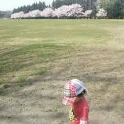 みかんねこ