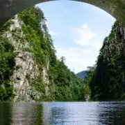 すの画像
