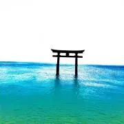 ✨ぴこりん✨の画像