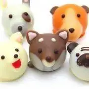chocoの画像