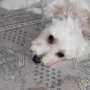 渡邊朗子