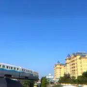 むむの画像