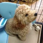 ★てとママ★即決大歓迎です♪