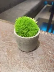 m　値下げ交渉可能の画像
