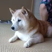 カズの画像