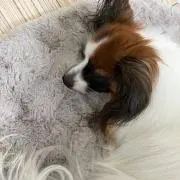 ☺︎sakyyy☺︎の画像
