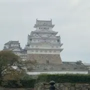 陽奈☆の画像