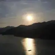syn_yの画像