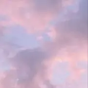 わたの画像