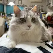 そらおの画像