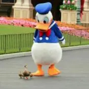 ぴろきし*プロフご確認願います