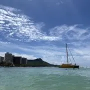 ゴリットブー