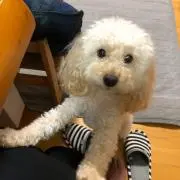 Poke