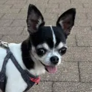 ☆みるく☆