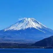 ころの画像