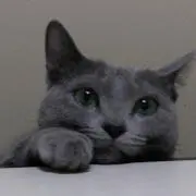 みあ…プロフ必読の画像
