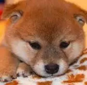 アイ